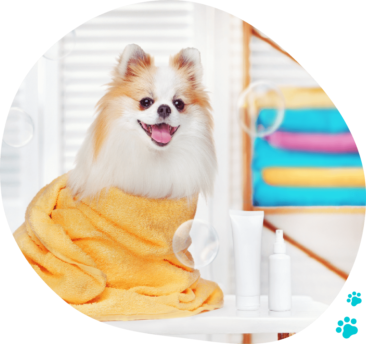 A dog sitting on top of towels in a room.