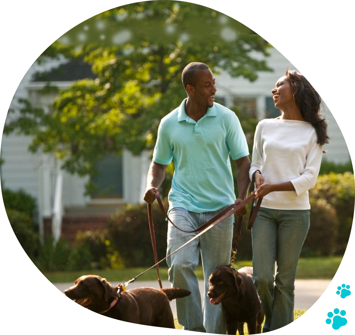 A man and woman walking two dogs on leashes.